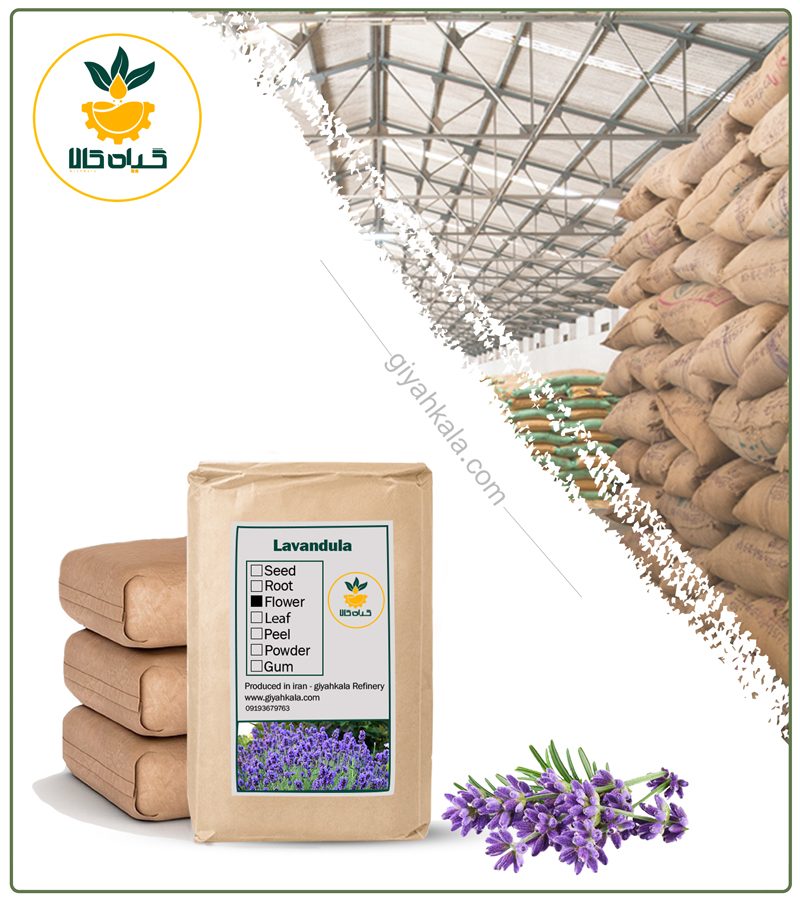 گیاه اسطوخودوس ایرانی خشک فله