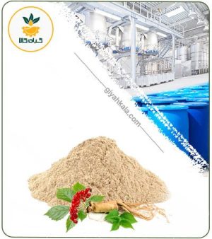 عصاره جینسینگ سفید خشک یا پودری