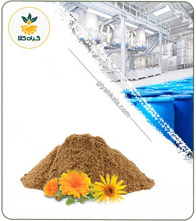 عصاره آرنیکا خشک (پودری)