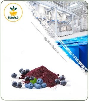عصاره بلوبری خشک یا پودری