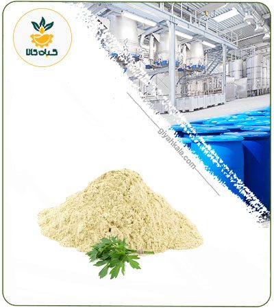 عصاره آنجدان رومی خشک یا پودری