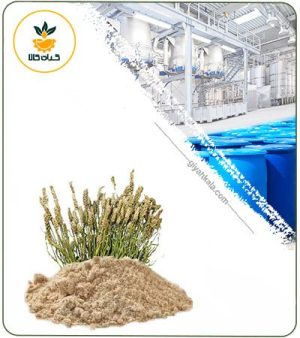 عصاره اسفرزه خشک یا پودری