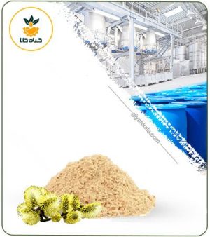 عصاره بیدمشک خشک یا پودری