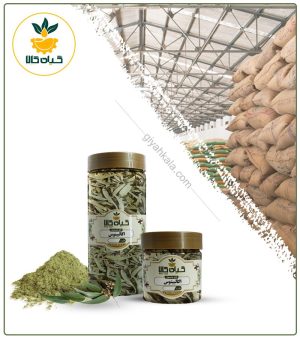 گیاه اکالیپتوس خشک یا پودری بسته بندی شده