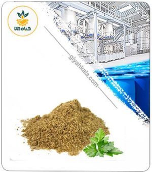 عصاره گیاه گشنیز خشک یا پودری