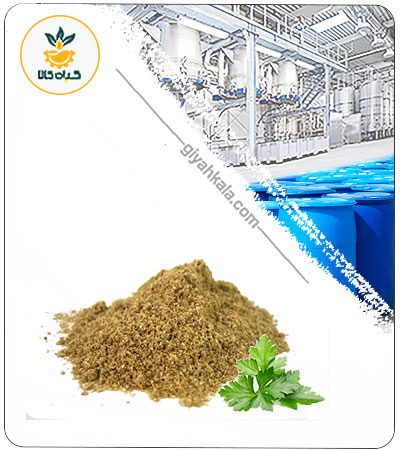 عصاره گیاه گشنیز خشک یا پودری