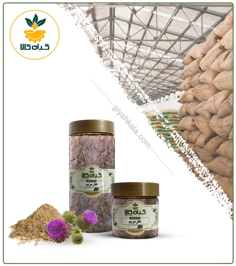گیاه خار مریم خشک یا پودری بسته بندی