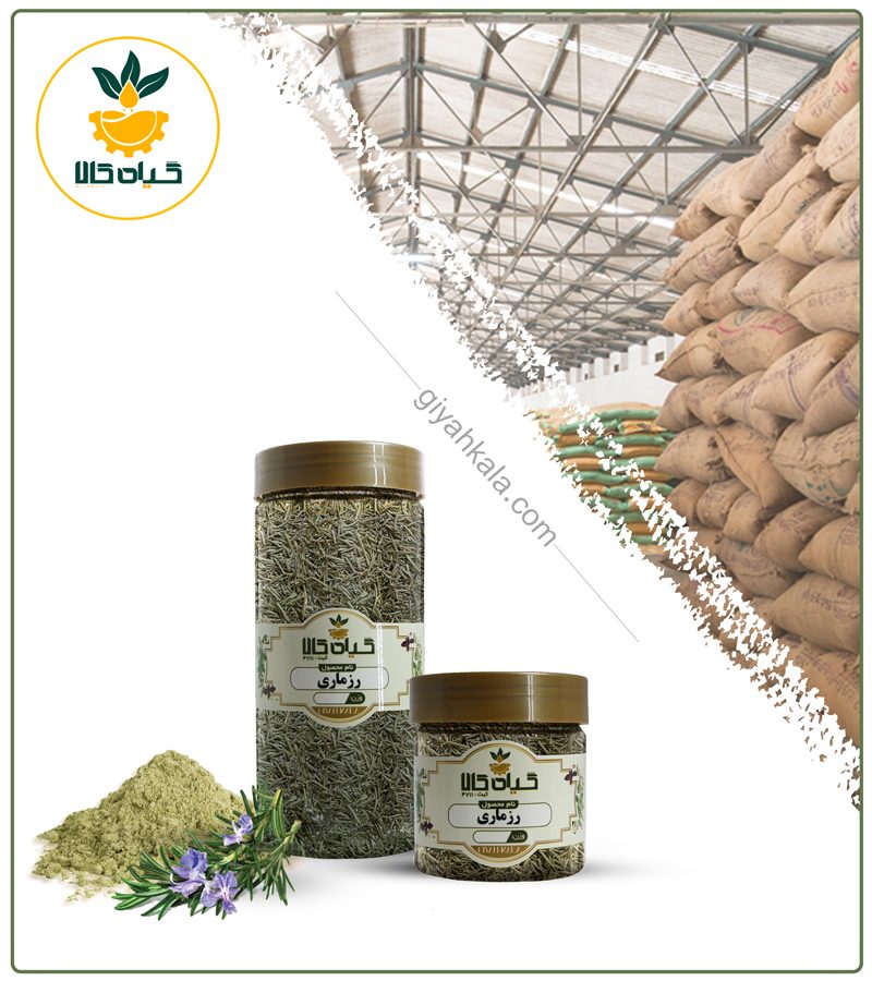 گیاه رزماری خشک یا پودری بسته بندی