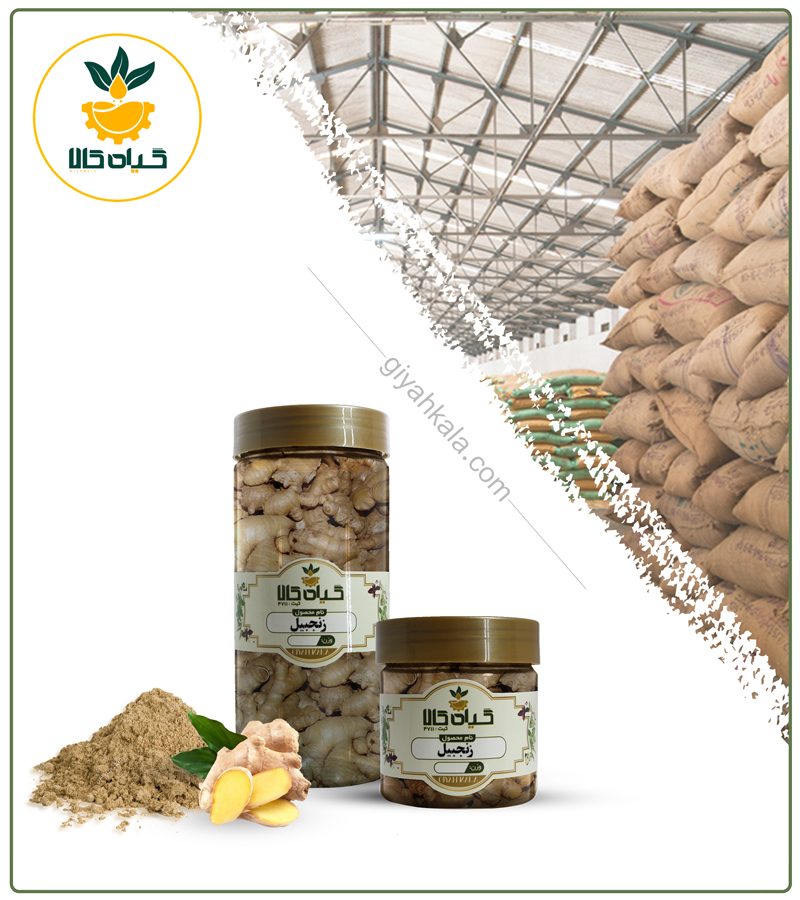 زنجبیل خشک یا پودری بسته بندی
