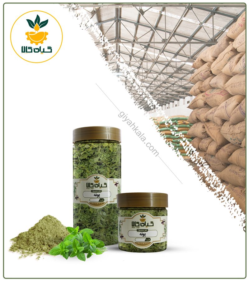 گیاه پونه خشک یا پودری بسته بندی