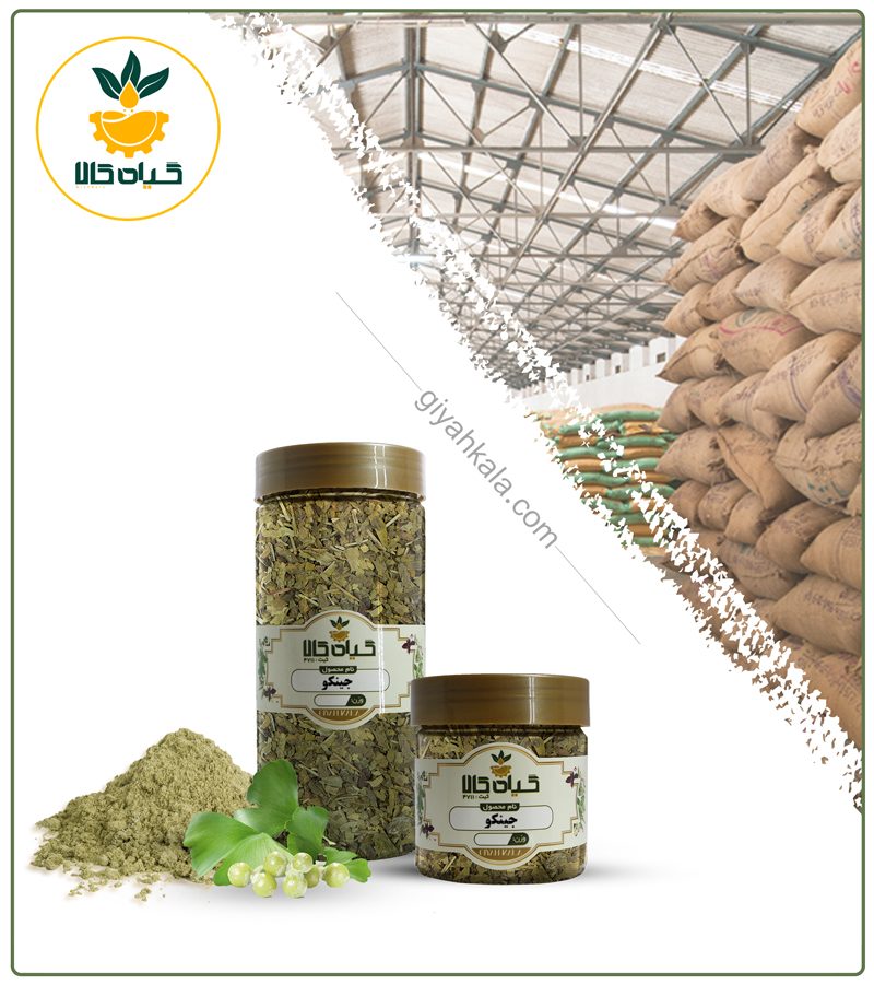 جینکو خشک یا پودری بسته بندی