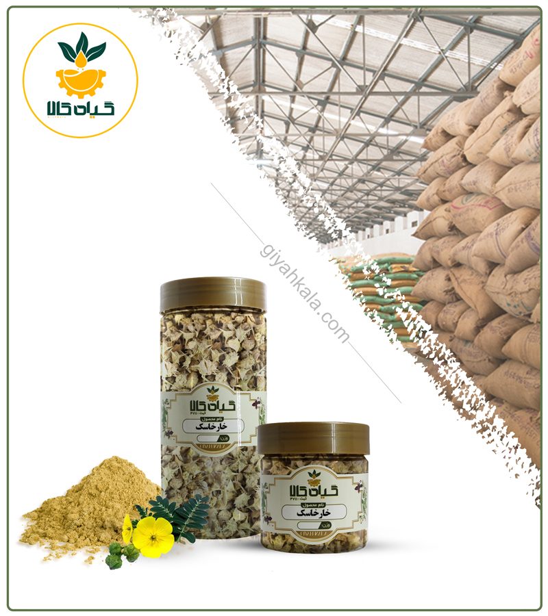 گیاه خارخاسک خشک یا پودری بسته بندی