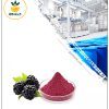 عصاره شاه توت خشک (پودری)