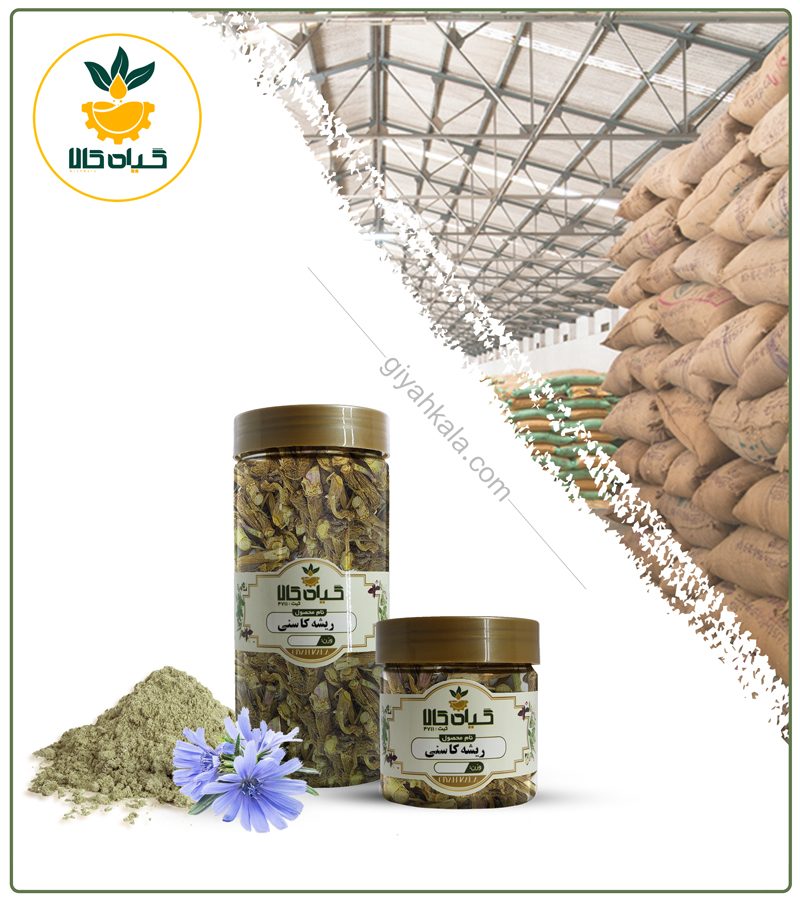ریشه کاسنی خشک یا پودری بسته بندی