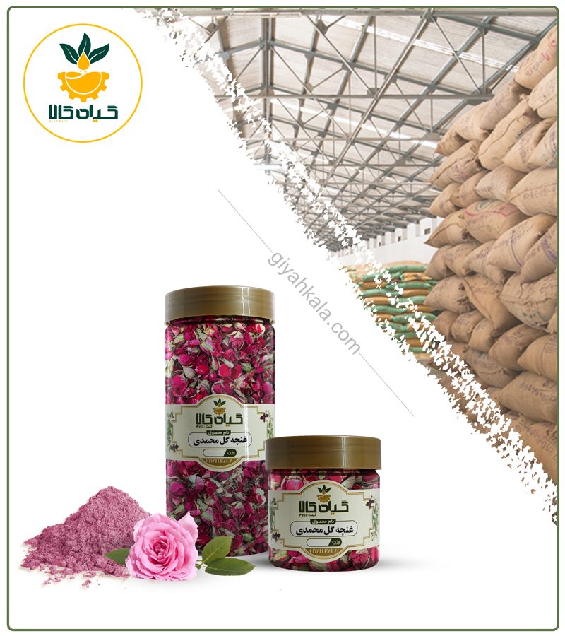 غنچه گل محمدی خشک یا پودری بسته بندی