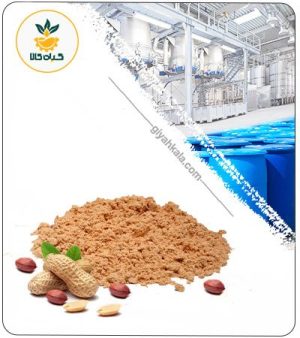عصاره بادام زمینی خشک یا پودری