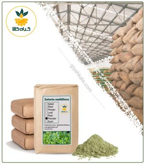 پودر آویشن شیرازی فله