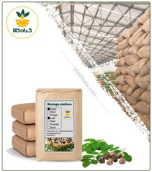 گیاه مورینگا خشک فله