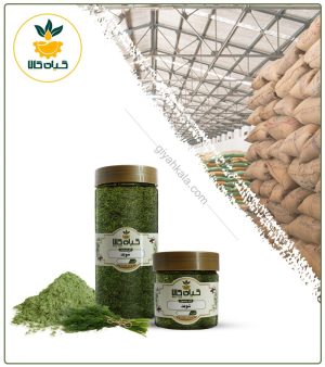 گیاه شوید خشک یا پودری بسته بندی