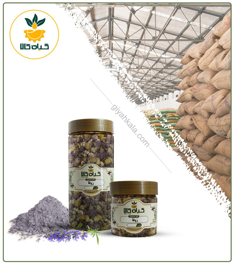 گیاه زوفا خشک یا پودری بسته بندی
