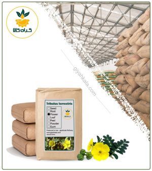 گیاه خارخاسک خشک فله