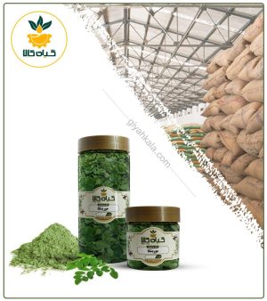 گیاه مورینگا خشک یا پودری بسته بندی