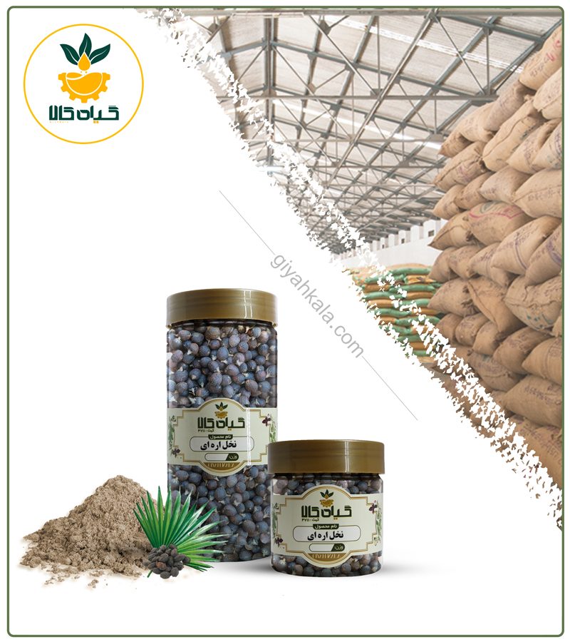 گیاه نخل اره ای خشک یا پودری بسته بندی