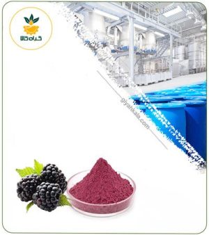 عصاره تمشک خشک یا پودری