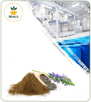 عصاره دانه چیا خشک یا پودری