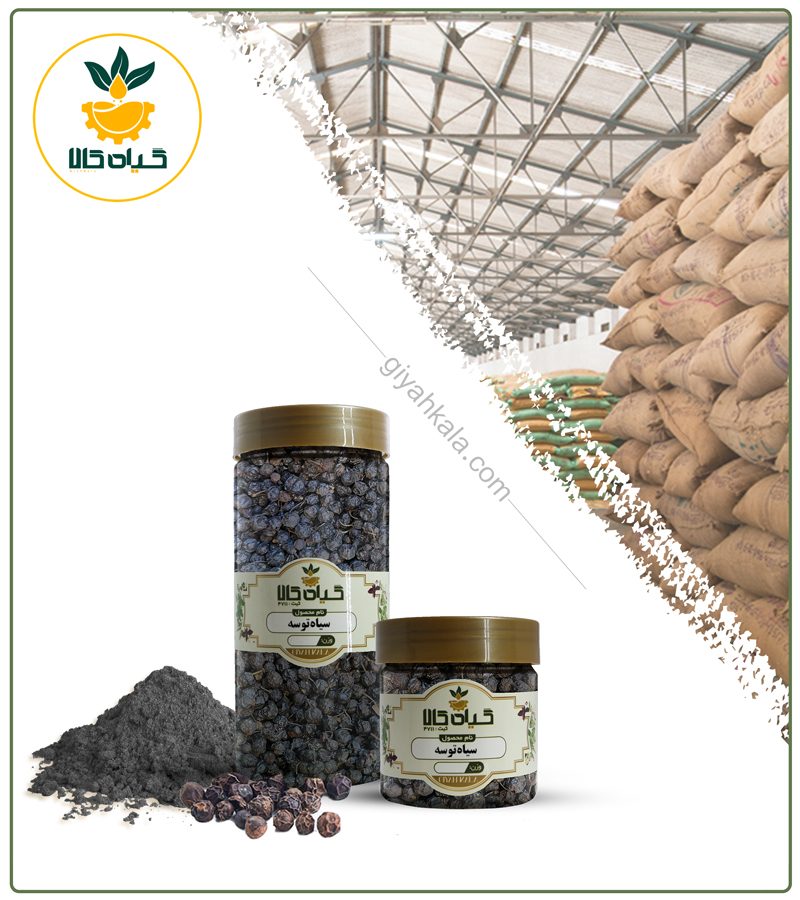 میوه سیاه توسه خشک یا پودری بسته بندی