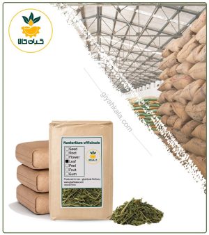 گیاه بولاغ اوتی خشک فله