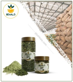 گیاه ترخون خشک یا پودری بسته بندی