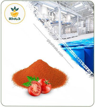 عصاره گوجه فرنگی خشک یا پودری