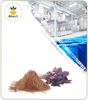 عصاره ریحان خشک یا پودری