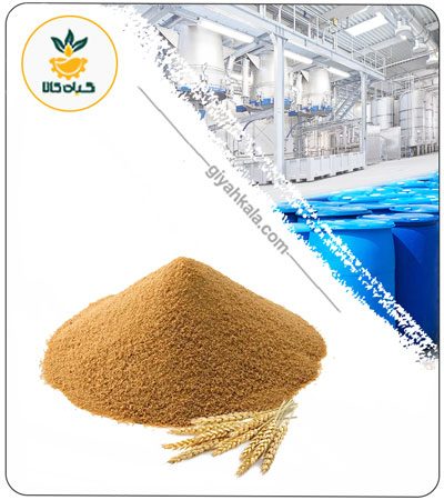عصاره مالت جو خشک یا پودری