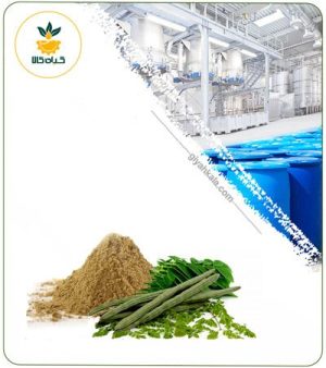 عصاره مورینگا خشک یا پودری