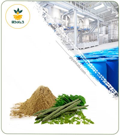 عصاره مورینگا خشک یا پودری