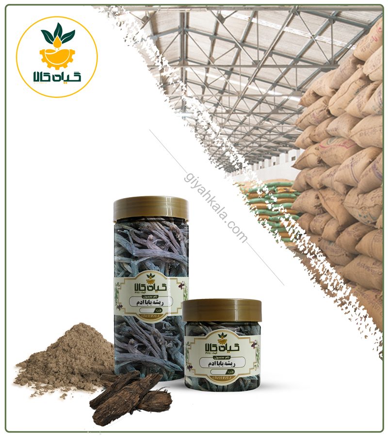 ریشه باباآدم خشک یا پودری بسته بندی