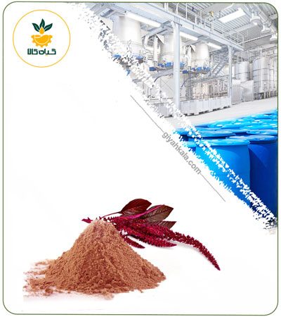 عصاره تاج خروس خشک یا پودری