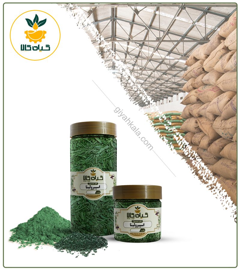 جلبک اسپیرولینا (خوراکی) خشک یا پودری بسته بندی