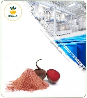 عصاره لبو خشک یا پودری