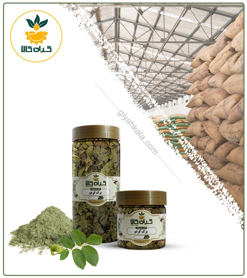برگ گردو خشک یا پودری بسته بندی