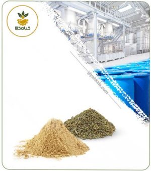 عصاره بذر اسفناج خشک یا پودری