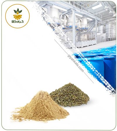 عصاره بذر اسفناج خشک یا پودری