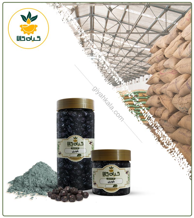 میوه بلوبری خشک یا پودری بسته بندی