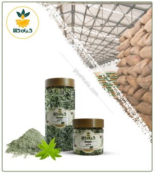 گیاه به لیمو خشک یا پودری بسته بندی