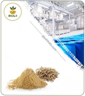 عصاره تخم شوید خشک یا پودری