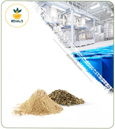 عصاره دانه خار مریم خشک یا پودری