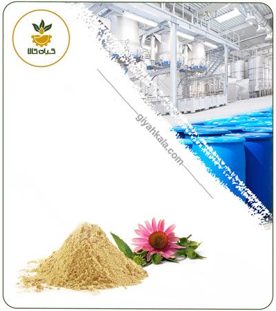 عصاره سرخارگل (گل) خشک یا پودری