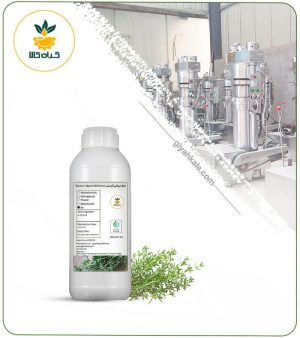 روغن آویشن (مخصوص عفونت واژن بانوان)